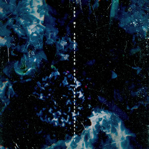 日本大胸美女搞基
